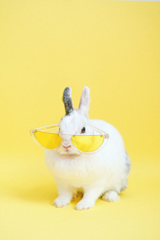 Instagram deleted my account, and since I cannot share these sexy bunnies on there, here they are. The account is shadow-banned, click on the link. Enjoy!