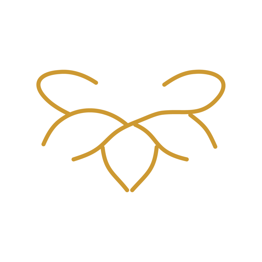 Venusian Society logo
